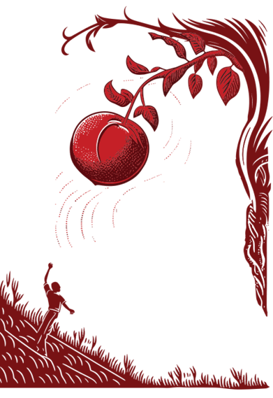 Juillet july Juliette tree