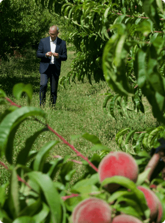 Jean-François Bardou