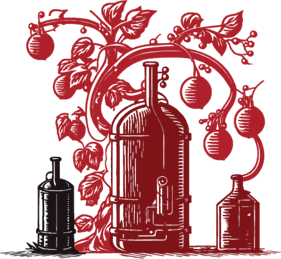 Process image content 3